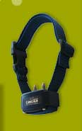 Buy anti-bark collar for dog