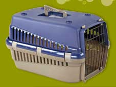 Buy carriers for dog and cat