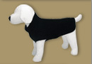 Buy coat for dog