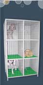 buy our waiting cages for dogs and cats