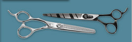 Buy our professionnal scissors