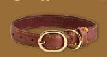 Buy our leather collar lead and harnesses for dog and cat