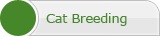 Cat breeding