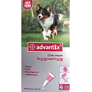 Antiparasitics pipets - dog between 10 and 25 kg - Advantix