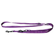 Training lead dog 3 positions - Purple
