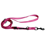 Training lead dog 3 positions - Pink