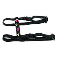 Harness for cat - cat paws - black