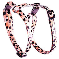 Adjustable harnais for cat - Orange Puma