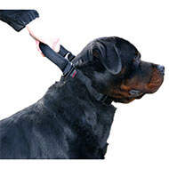 Collier réglable d'intervention avec poignée pour chien