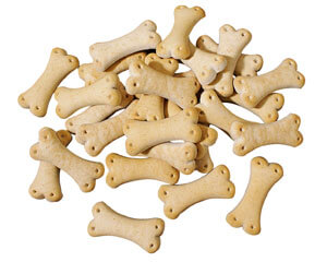 Biscuits Baby pour chien