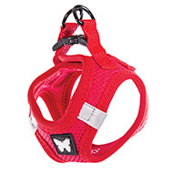 Red Mesh Harness