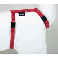 Cat harness - Plain Fabric - red