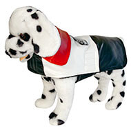 Dog jacket - Trekker