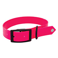 Pink fluorescent collar reflective hunting for dog