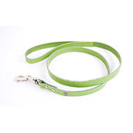 Green leather lead for dog - classic colorful leather riveted