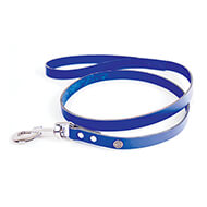 Blue leather lead for dog - classic colorful leather riveted