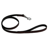 Brown leather lead for dog - cut stung franc