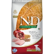 N&D - ANCESTRAL GRAIN - Pomegranate Chicken - Puppy