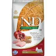 N&D - ANCESTRAL GRAIN - Pomegranate Chicken - Senior Dog