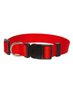 Dog collar - Red nylon