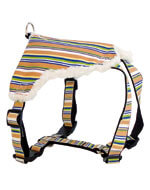 Dog harness - color lines