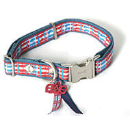 Dog collar - Dog Save The Queen