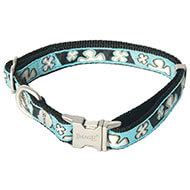 Dog collar - Bowxy blue