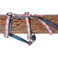 Dog harness - Dog Save The Queen