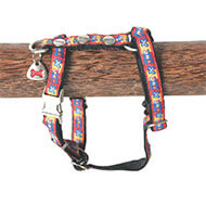 Dog harness - Bowxy red