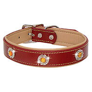 Dog collar - brown leather - Citrine