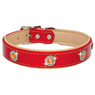 Dog collar - red leather - Citrine
