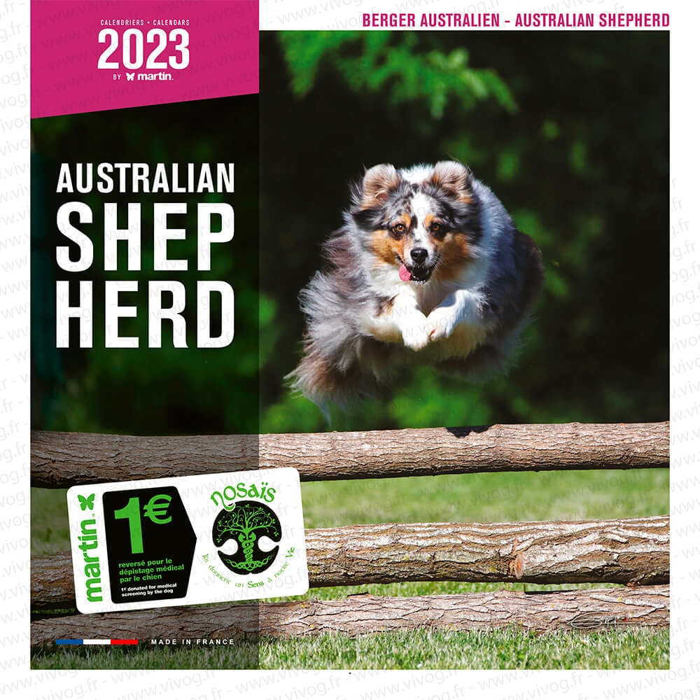 Calendrier Expo Canine 2022 Berger Australien   calendrier chien 2021   Martin Sellier 