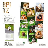 Calendar 2021 - Spitz - Martin Sellier