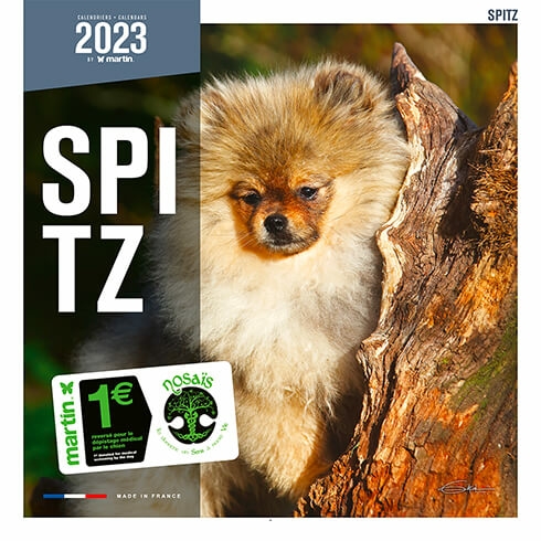 Calendrier chien 2023 - Spitz - Martin Sellier