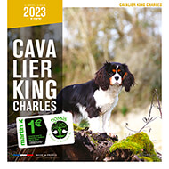 Calendar 2023 -  Cavalier King Charles - Martin Sellier
