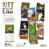 Calendar 2021 - Kittens - Martin Sellier