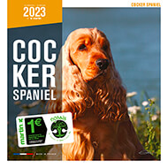 Calendrier chien 2022 - Cocker Spaniel - Martin Sellier