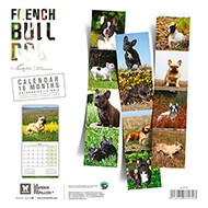 Calendrier chien 2023 - Bouledogue français - Martin Sellier