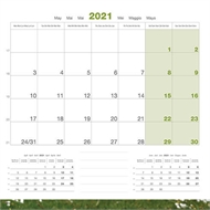 Dog Calendar 2021 - French Bulldog - Martin Sellier