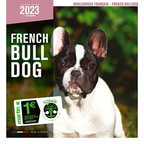 Dog Calendar 2021 - French Bulldog - Martin Sellier