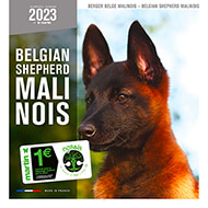 Calendrier chien 2022 - Berger Belge Malinois - Martin Sellier