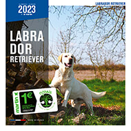 Calendrier chien 2022 - Labrador - Martin Sellier