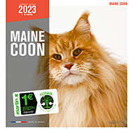 Calendrier chien 2023 - Maine Coon - Martin Sellier