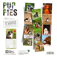 Dog Calendar 2021 - Breed Puppies - Martin Sellier