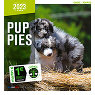 Dog Calendar 2021 - Breed Puppies - Martin Sellier