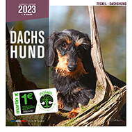Calendar 2023 -  Dachshund - Martin Sellier