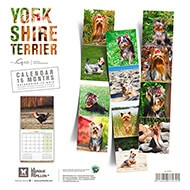 Calendrier chien 2022 - Yorkshire - Martin Sellier