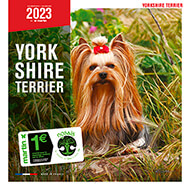 Calendrier chien 2023 - Yorkshire - Martin Sellier