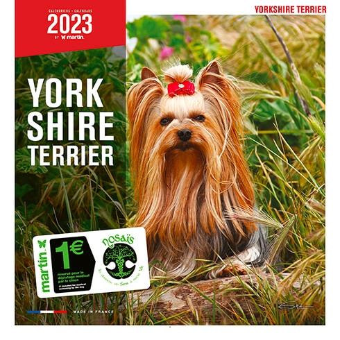 Calendrier Expo Canine 2022 Yorkshire   calendrier chien 2021   Martin Sellier   Martin Sellier