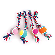 Toy for small dogs and puppies - Set of 4 ropes + tennis ball